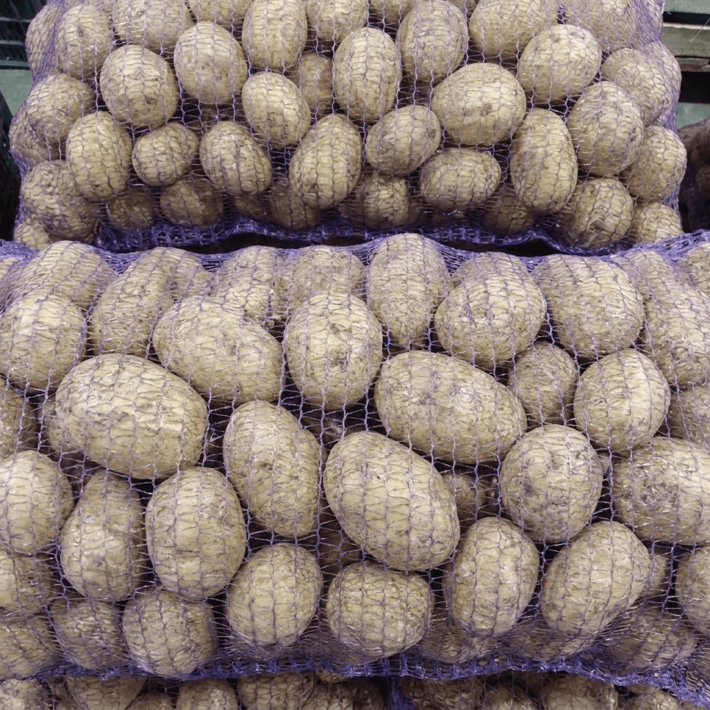 Картофель Краснодар