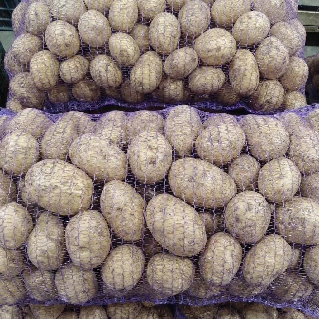 Картофель Краснодар