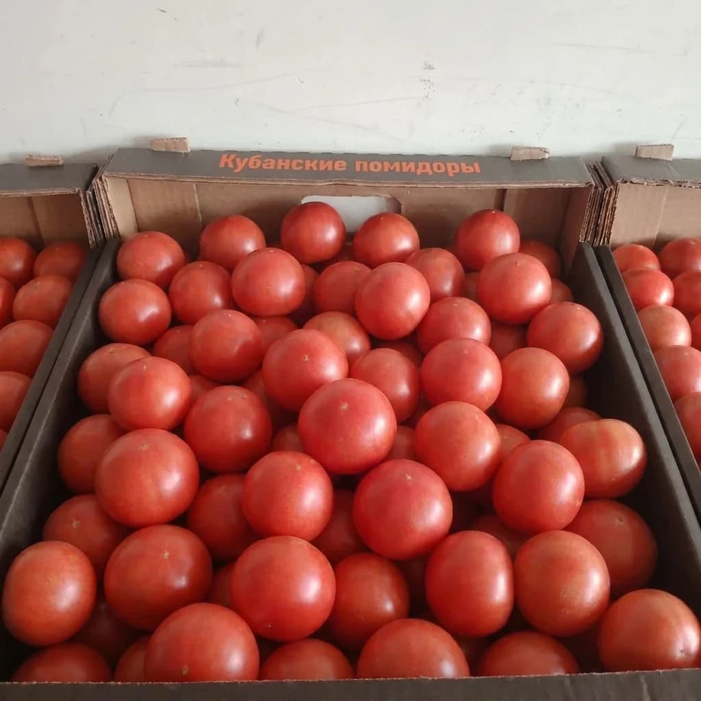 Помидоры Кубанские